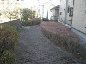 遊歩道